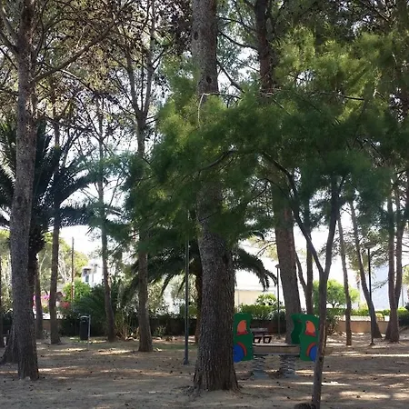 Sirella 1 Pollença